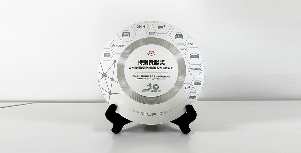 買球網(wǎng)站連續(xù)四年再度榮獲比亞迪2024年“特別貢獻(xiàn)獎(jiǎng)”
