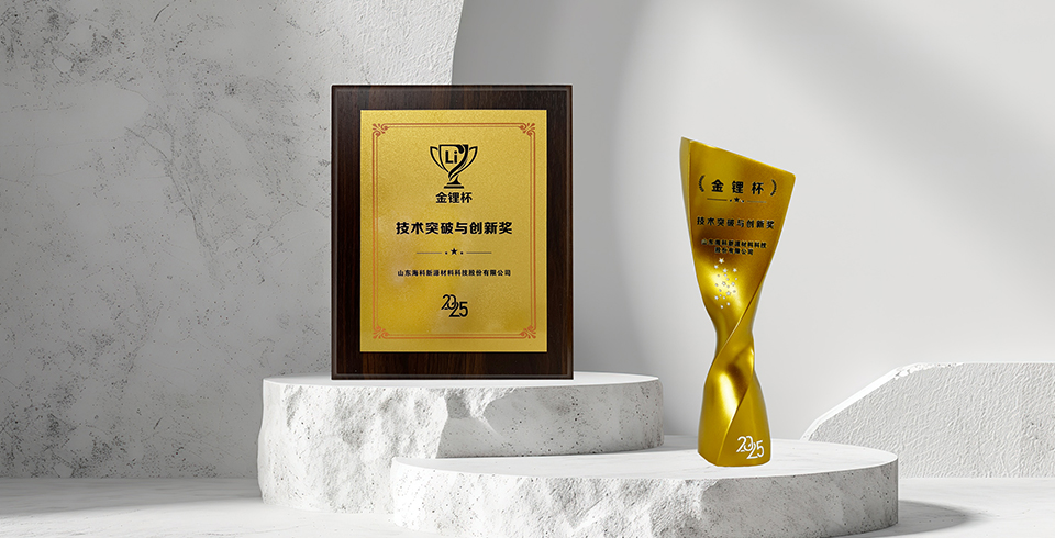 喜報(bào) | 買球網(wǎng)站榮獲真鋰研究“技術(shù)突破與創(chuàng)新獎(jiǎng)”